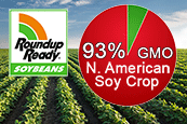 North American Soy Crop